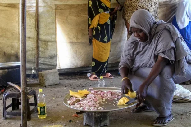 Sudan’s Struggle: The Rise of Paramilitary Forces and Their Challenge to Government Authority.