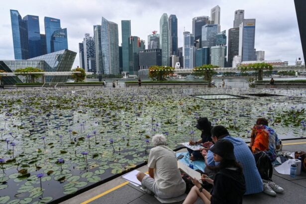 Africa joins the race to tap into Singapore’s urban design expertise