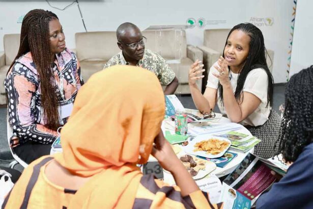 African Development Bank Group develops original idea to present climate solutions to 30th Conference of the Parties (COP30) participants