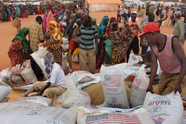 US halts assistance to Somalia over claims food aid was illegally seized