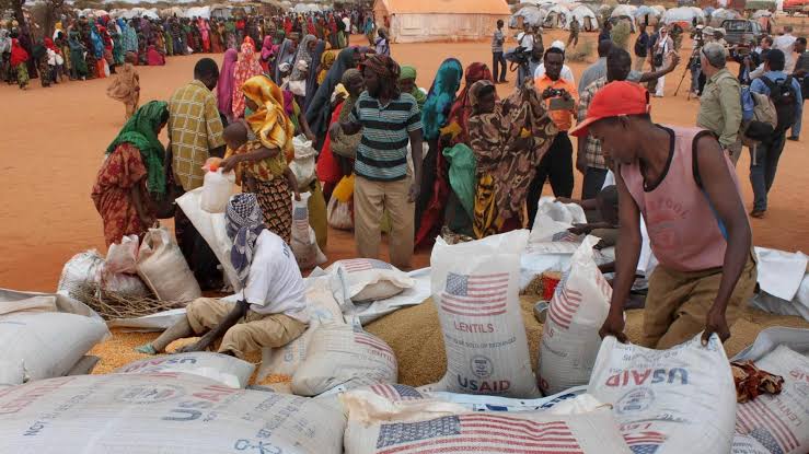 US halts assistance to Somalia over claims food aid was illegally seized US halts assistance to Somalia over claims food aid was illegally seized