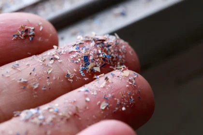 90% of Prostate Cancer Tumors Contained Microplastics