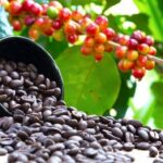 Coffee Prices Stay at Record Despite Drop in Market for Beans