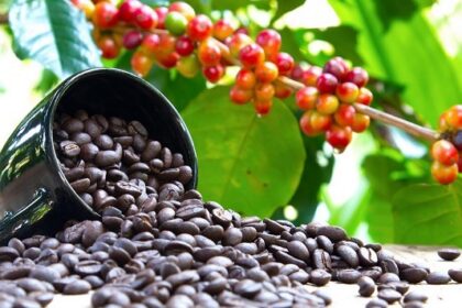 Coffee Prices Stay at Record Despite Drop in Market for Beans