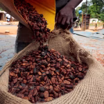 Is coffee the new cocoa? Some expect coffee prices to also crash