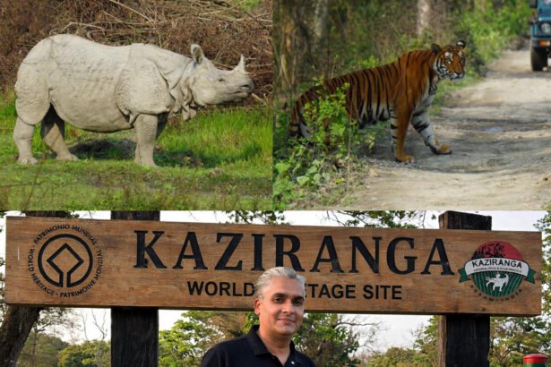 Kaziranga, India’s one of the best wildlife destination