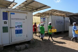 Kenya’s Cold-Storage Revolution: The Innovation Helping Farmers Fight Food Waste