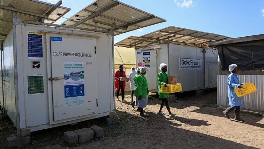 Kenya’s Cold-Storage Revolution: The Innovation Helping Farmers Fight Food Waste