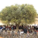 Botswana’s Kgotla Tradition: The Ancient System That Helped Build One of Africa’s Most Stable Nations