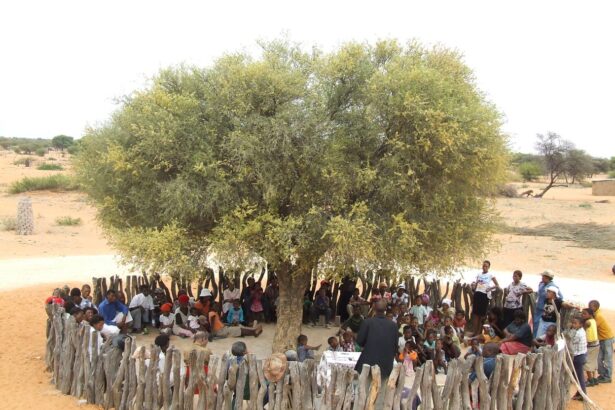Botswana’s Kgotla Tradition: The Ancient System That Helped Build One of Africa’s Most Stable Nations