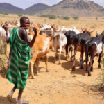 ELIZABETH KULUME: Global Climate Policies must be grounded in the brutal realities of the Karamoja Famine.