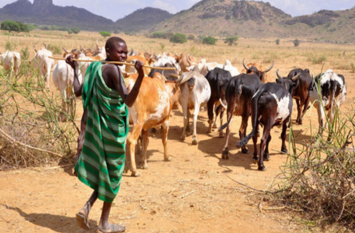 ELIZABETH KULUME: Global Climate Policies must be grounded in the brutal realities of the Karamoja Famine.