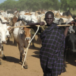 The Karamojong: Uganda’s Proud Pastoral Warriors and Keepers of Ancient Traditions