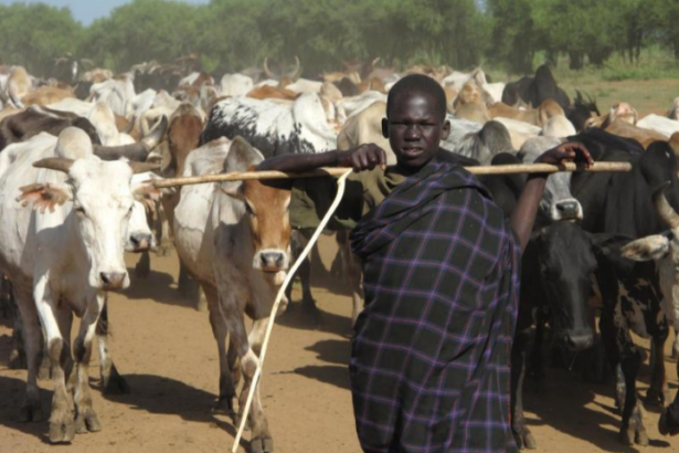 The Karamojong: Uganda’s Proud Pastoral Warriors and Keepers of Ancient Traditions