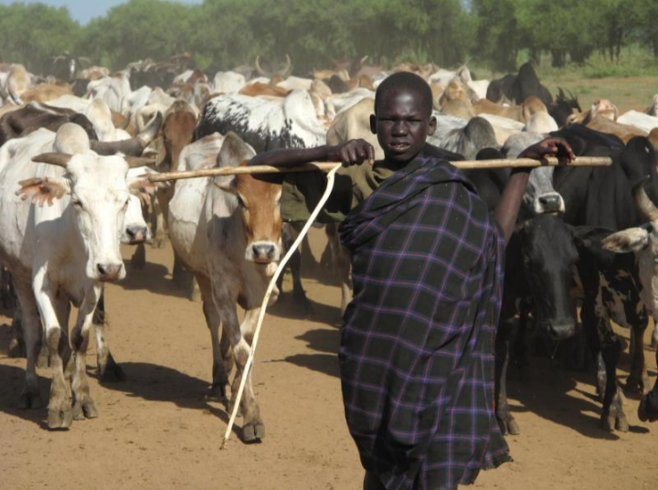 The Karamojong: Uganda’s Proud Pastoral Warriors and Keepers of Ancient Traditions