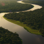 Congo’s Living Rainforest: Where Ancient Forest Traditions Still Shape Everyday Life