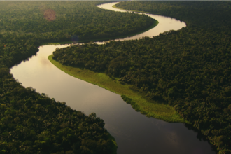 Congo’s Living Rainforest: Where Ancient Forest Traditions Still Shape Everyday Life