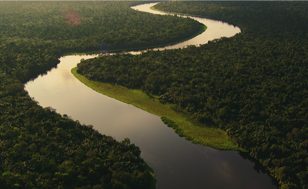 Congo’s Living Rainforest: Where Ancient Forest Traditions Still Shape Everyday Life
