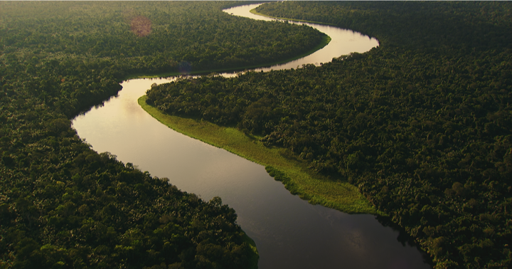 Congo’s Living Rainforest: Where Ancient Forest Traditions Still Shape Everyday Life