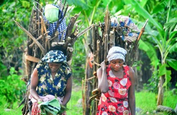 The Bakonzo: Guardians of the Rwenzori Mountains and Keepers of a Proud Highland Heritage