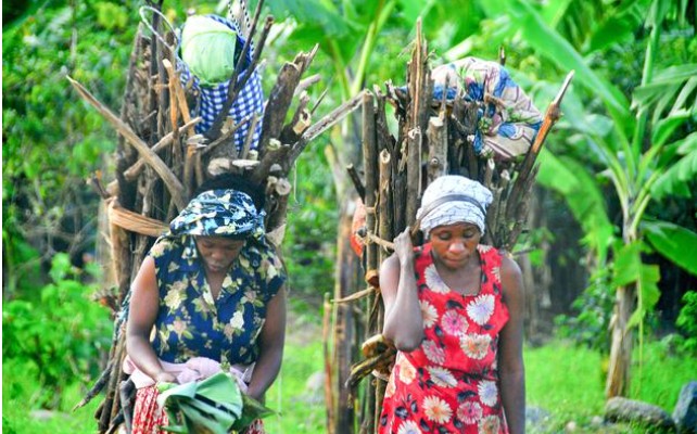 The Bakonzo: Guardians of the Rwenzori Mountains and Keepers of a Proud Highland Heritage