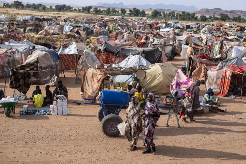 Africa’s Forgotten War: Why Sudan’s Humanitarian Crisis Deserves the World’s Attention