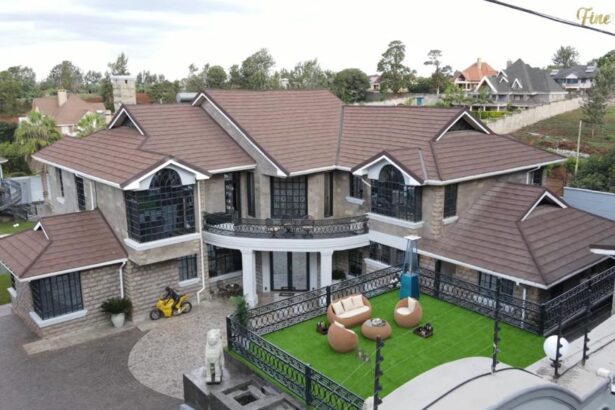 Inside the Most Expensive Celebrity Homes in Africa