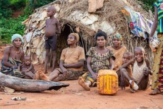 Guardians of the Rainforest: Life and Tradition in the Heart of the Central African Republic