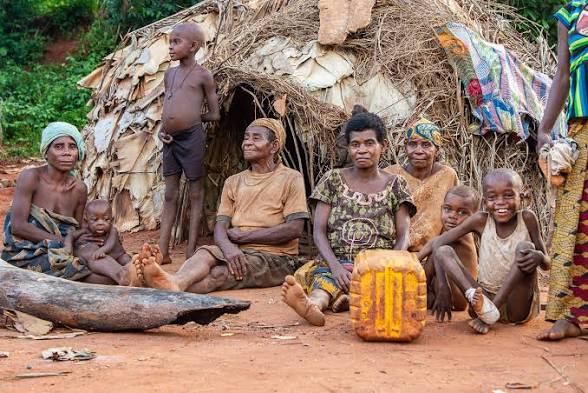 Guardians of the Rainforest: Life and Tradition in the Heart of the Central African Republic