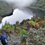 The Bamba: The Forest People of the Rwenzori and Their Enduring Cultural Legacy