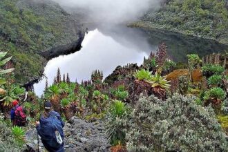 The Bamba: The Forest People of the Rwenzori and Their Enduring Cultural Legacy