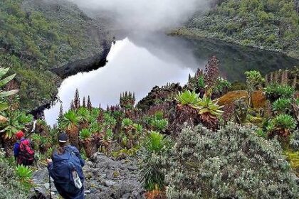 The Bamba: The Forest People of the Rwenzori and Their Enduring Cultural Legacy