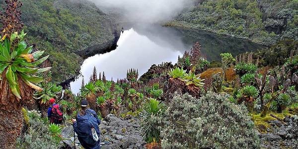 The Bamba: The Forest People of the Rwenzori and Their Enduring Cultural Legacy