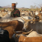 The Jie: Uganda’s Resilient Pastoral People with a Proud Warrior Heritage