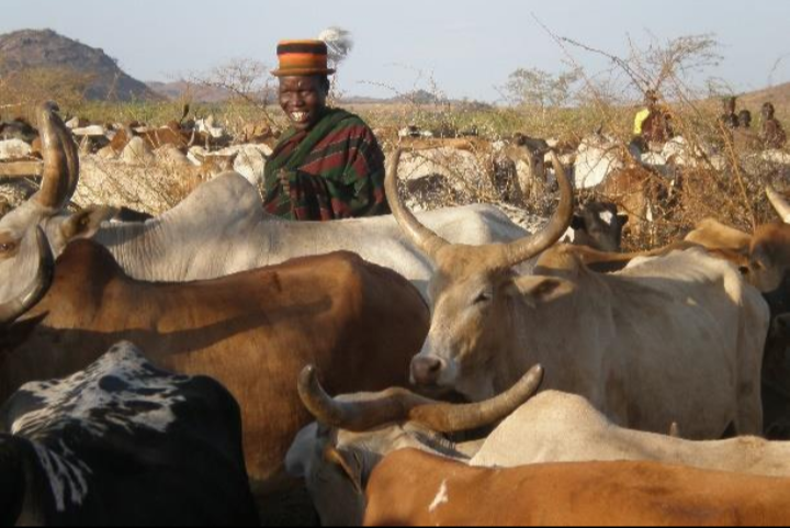 The Jie: Uganda’s Resilient Pastoral People with a Proud Warrior Heritage The Jie: Uganda’s Resilient Pastoral People with a Proud Warrior Heritage
