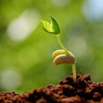SMALL THINGS MATTER: Refrain from the habit of undermining the small opportunities of growth that surround you daily.