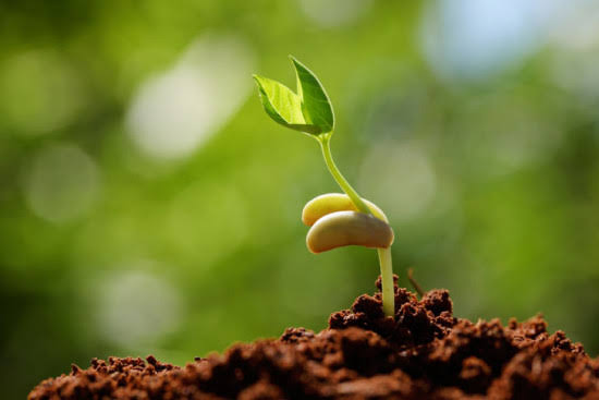 SMALL THINGS MATTER: Refrain from the habit of undermining the small opportunities of growth that surround you daily. SMALL THINGS MATTER: Refrain from the habit of undermining the small opportunities of growth that surround you daily.